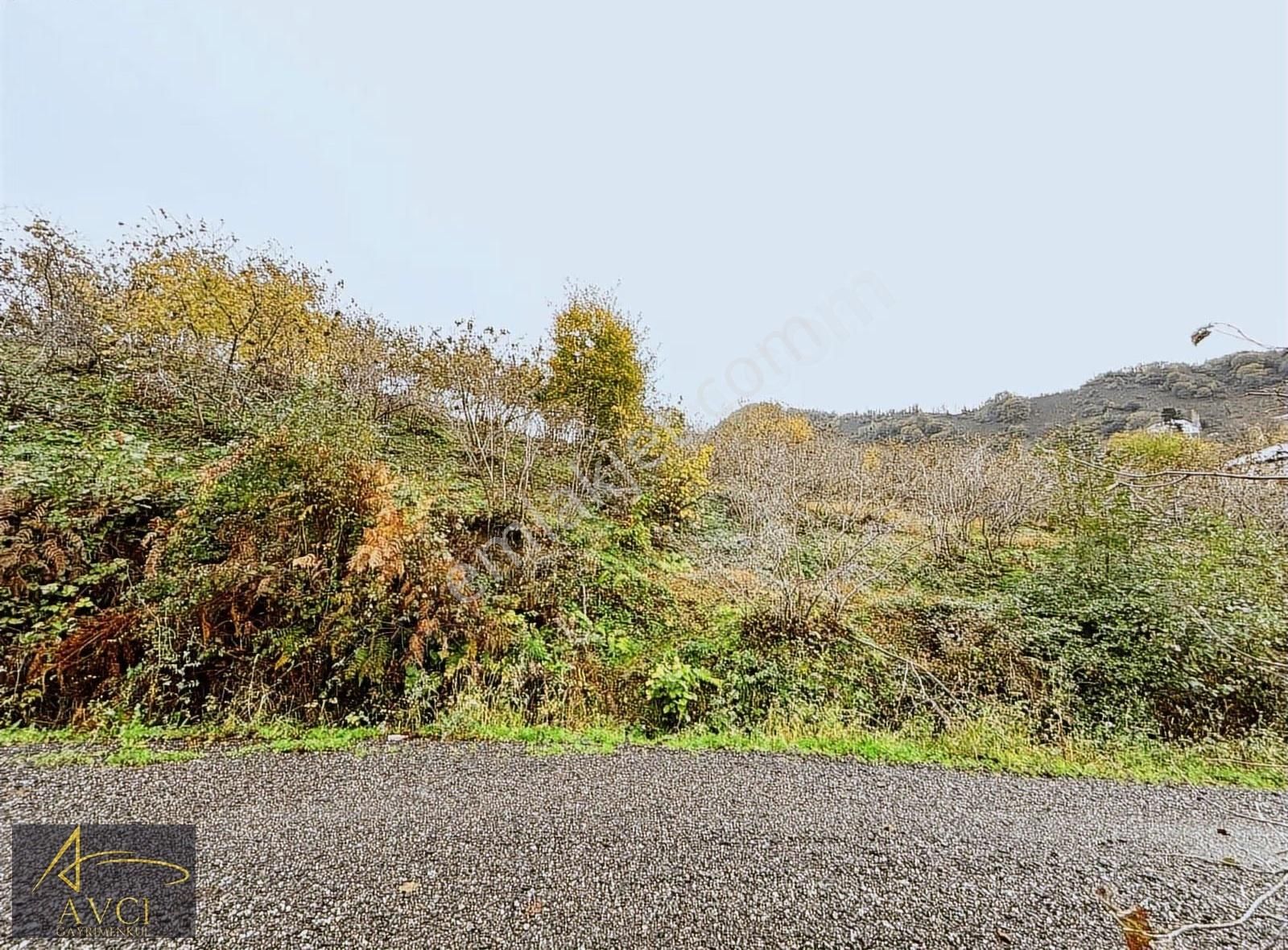 Avcı Gayrimenkulden Gülyalı Yeniköy' De Acil Satılık Arsalar - Görsel 14