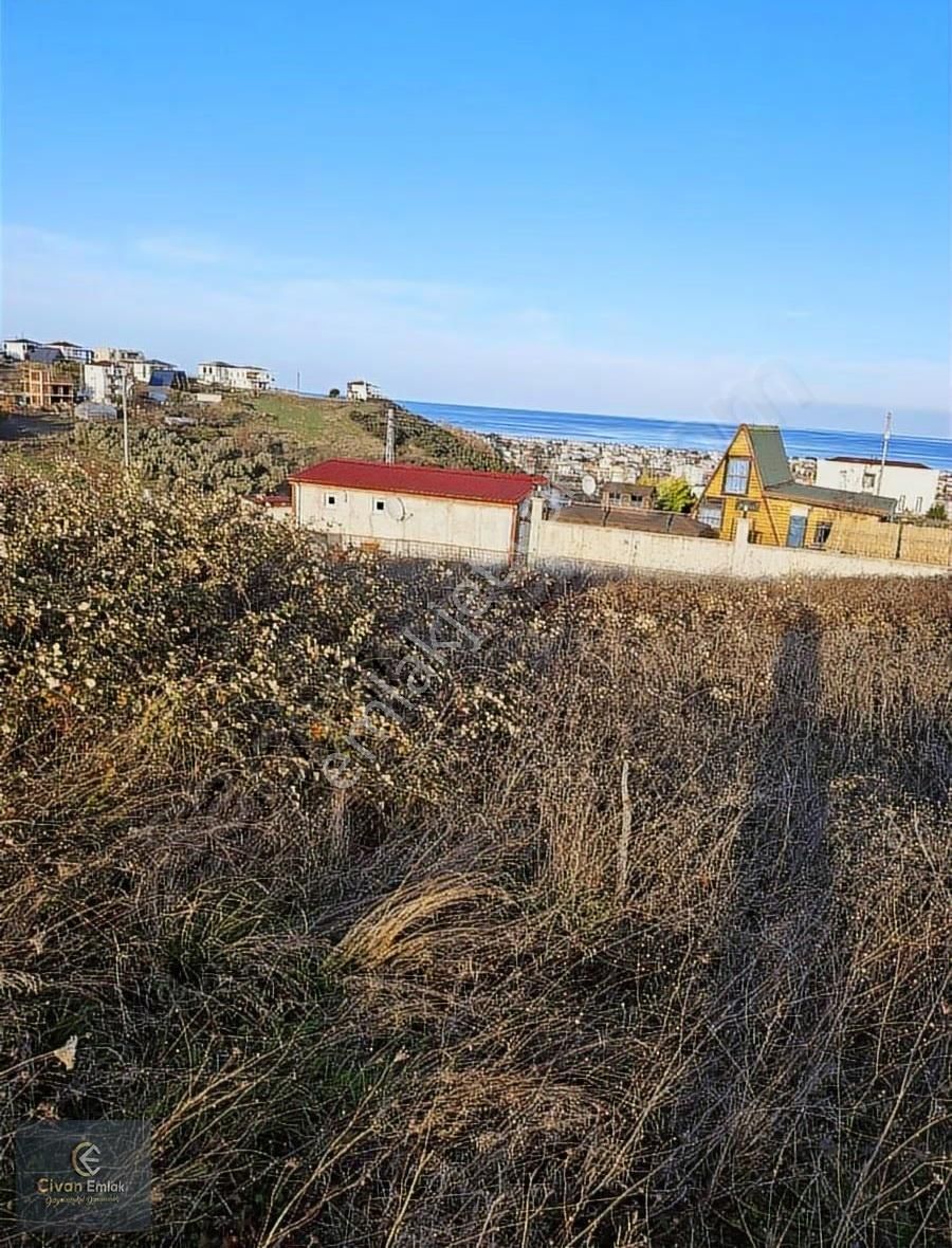 Civandan, Çatalçamda Daire Takaslı 340 M2 Arsa - Görsel 12