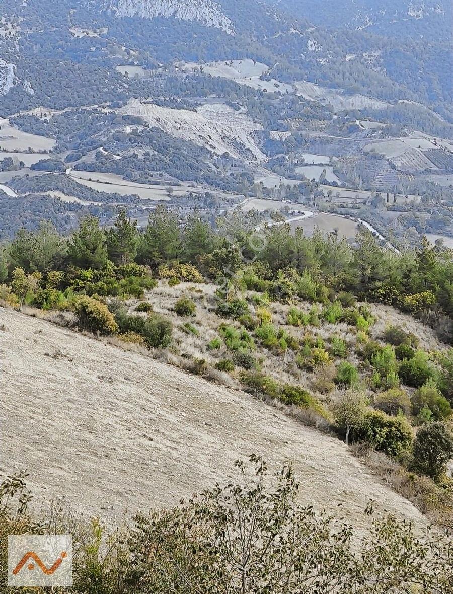 Acill Kadirli Şehir Merkezine Yakın 9267 M2 Tek Tapu Arsa/tarla - Görsel 3