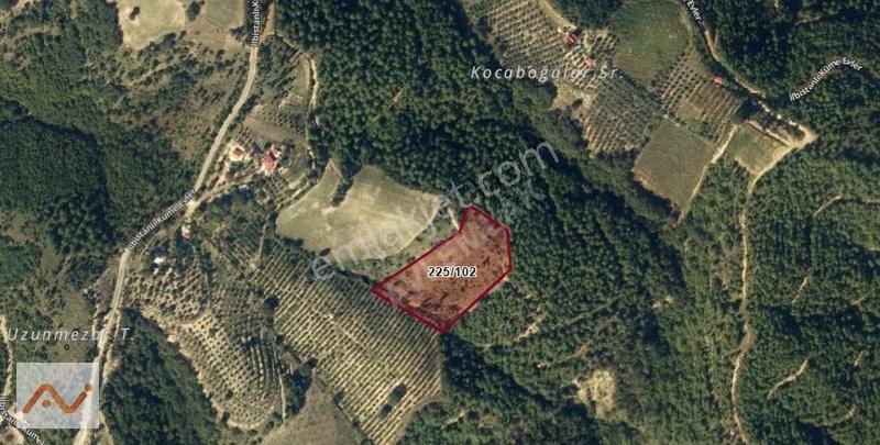 Acill Kadirli Şehir Merkezine Yakın 9267 M2 Tek Tapu Arsa/tarla