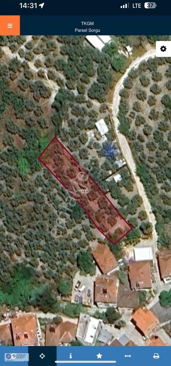 Bursa Mudanya Yörükalide Köyiçi İmarlı 0,30 Satılık 892 M2 - Görsel 2