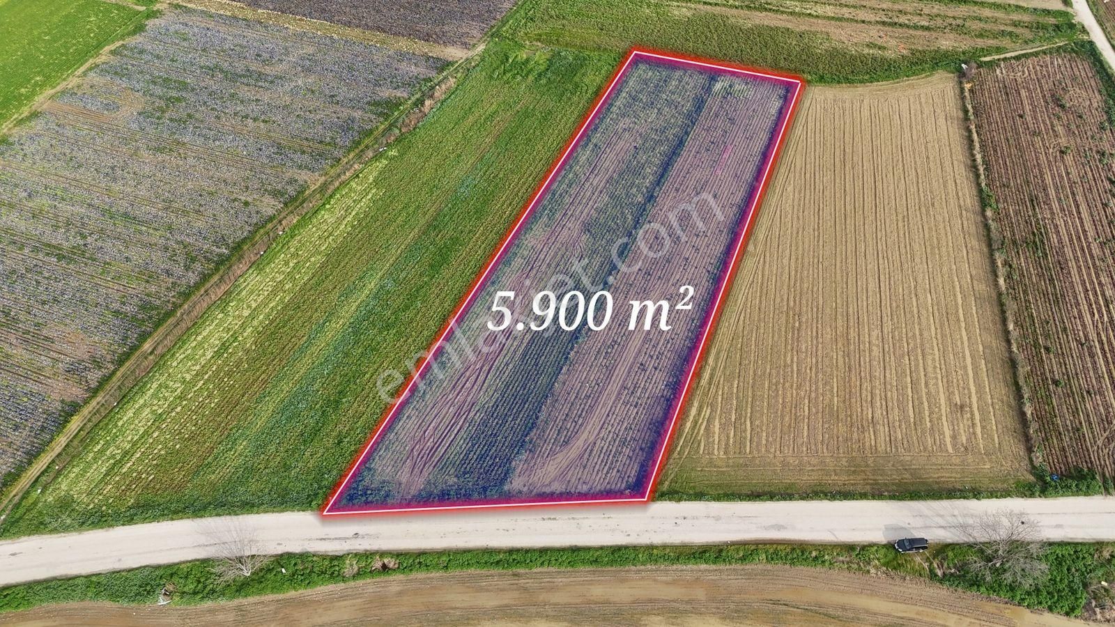 Bayındır Tokatbaşı Emsallerinin Eygun Fiyatlı Tarlası! - Görsel 3