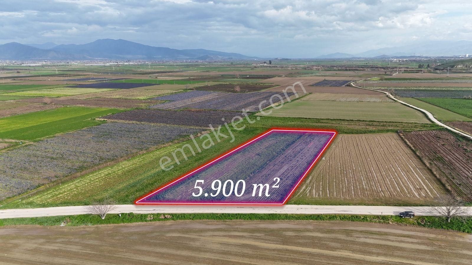 Bayındır Tokatbaşı Emsallerinin Eygun Fiyatlı Tarlası! - Görsel 15