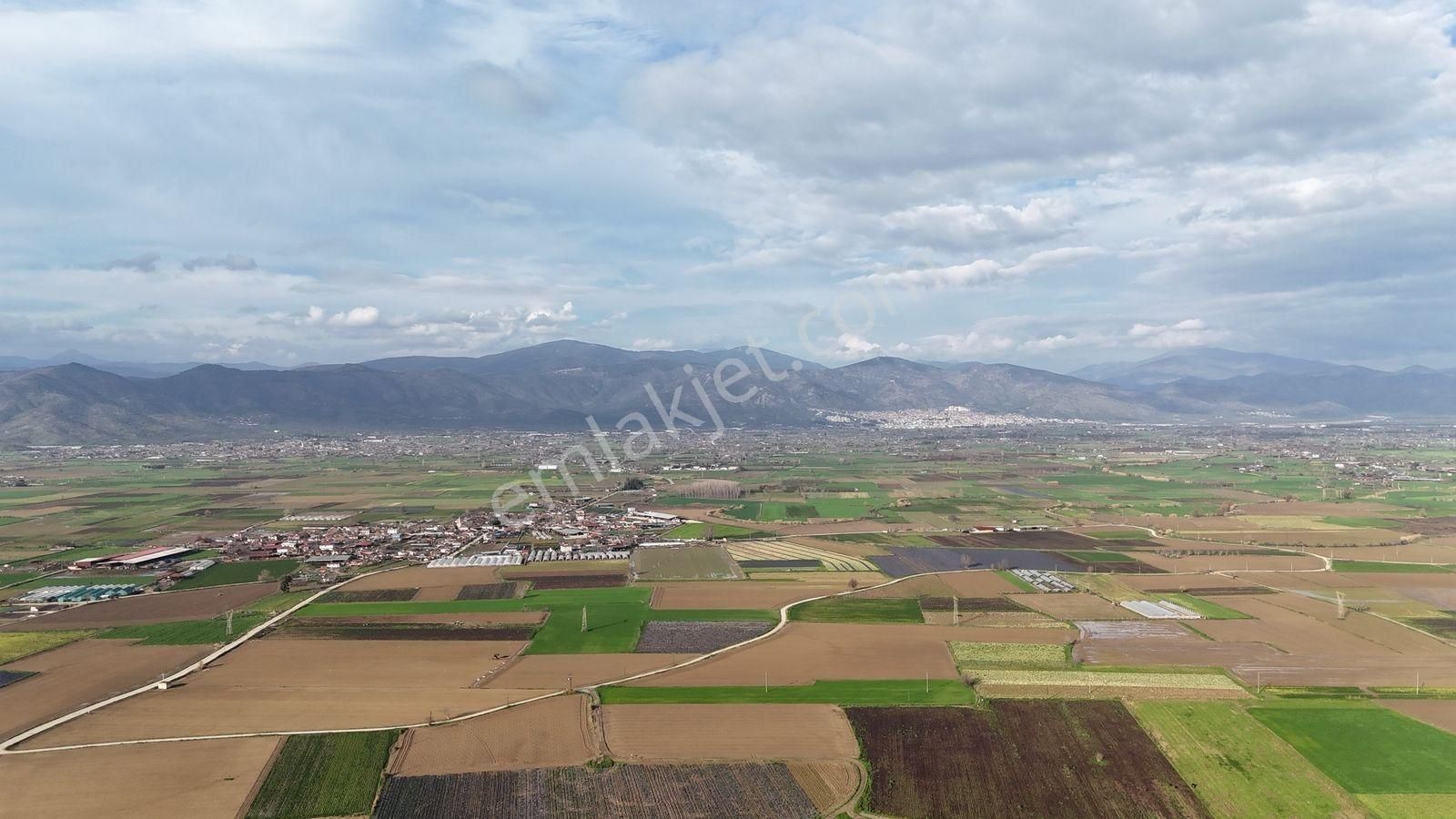 Bayındır Tokatbaşı Emsallerinin Eygun Fiyatlı Tarlası! - Görsel 23