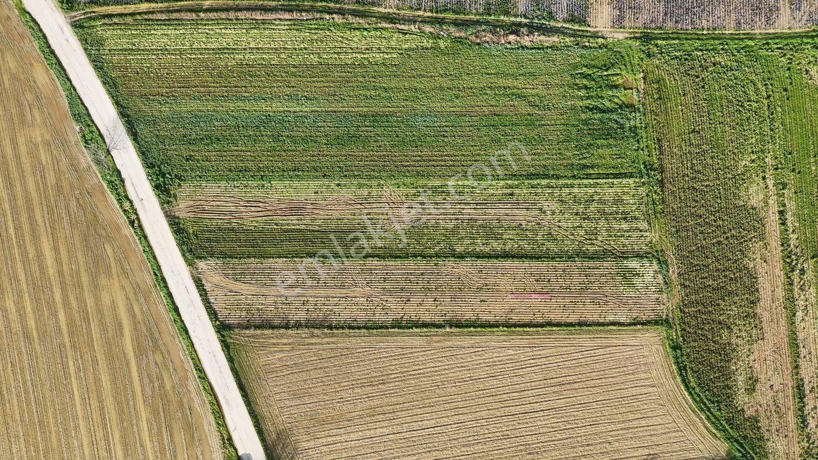 Bayındır Tokatbaşı Emsallerinin Eygun Fiyatlı Tarlası! - Görsel 12