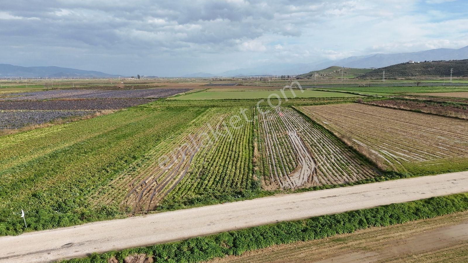 Bayındır Tokatbaşı Emsallerinin Eygun Fiyatlı Tarlası! - Görsel 17