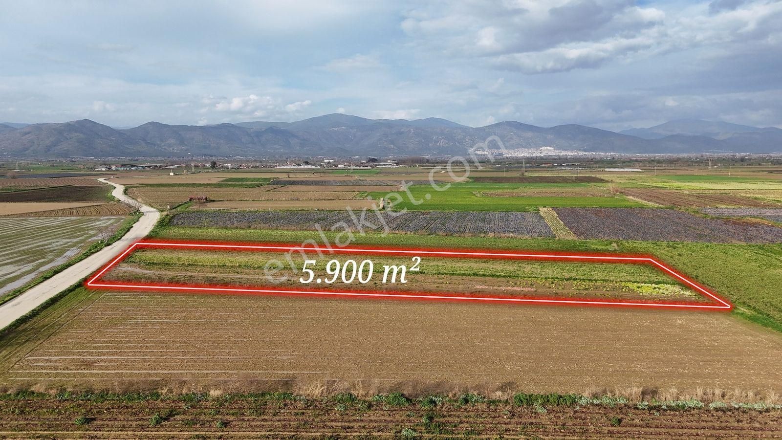 Bayındır Tokatbaşı Emsallerinin Eygun Fiyatlı Tarlası! - Görsel 5