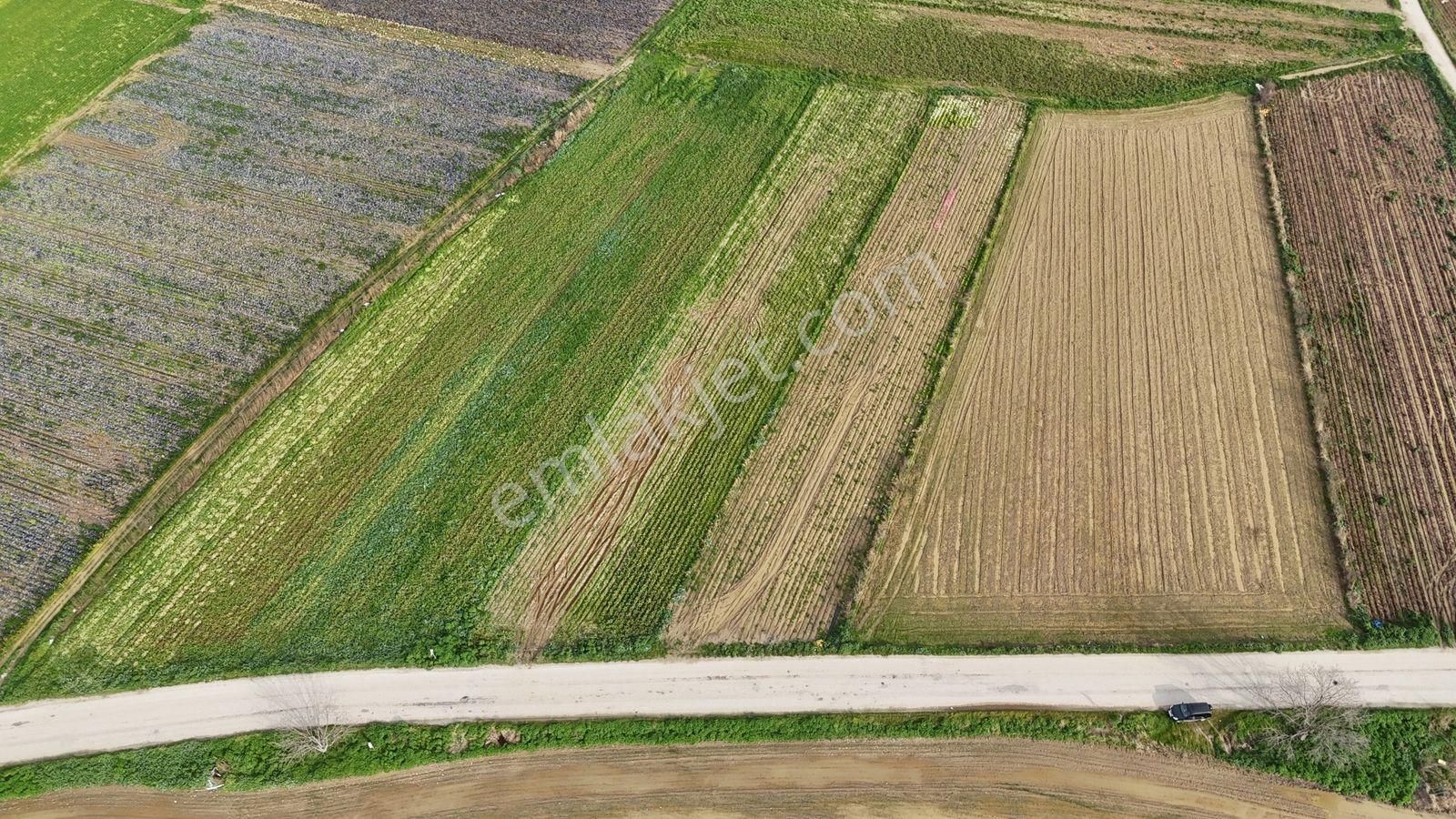 Bayındır Tokatbaşı Emsallerinin Eygun Fiyatlı Tarlası! - Görsel 6