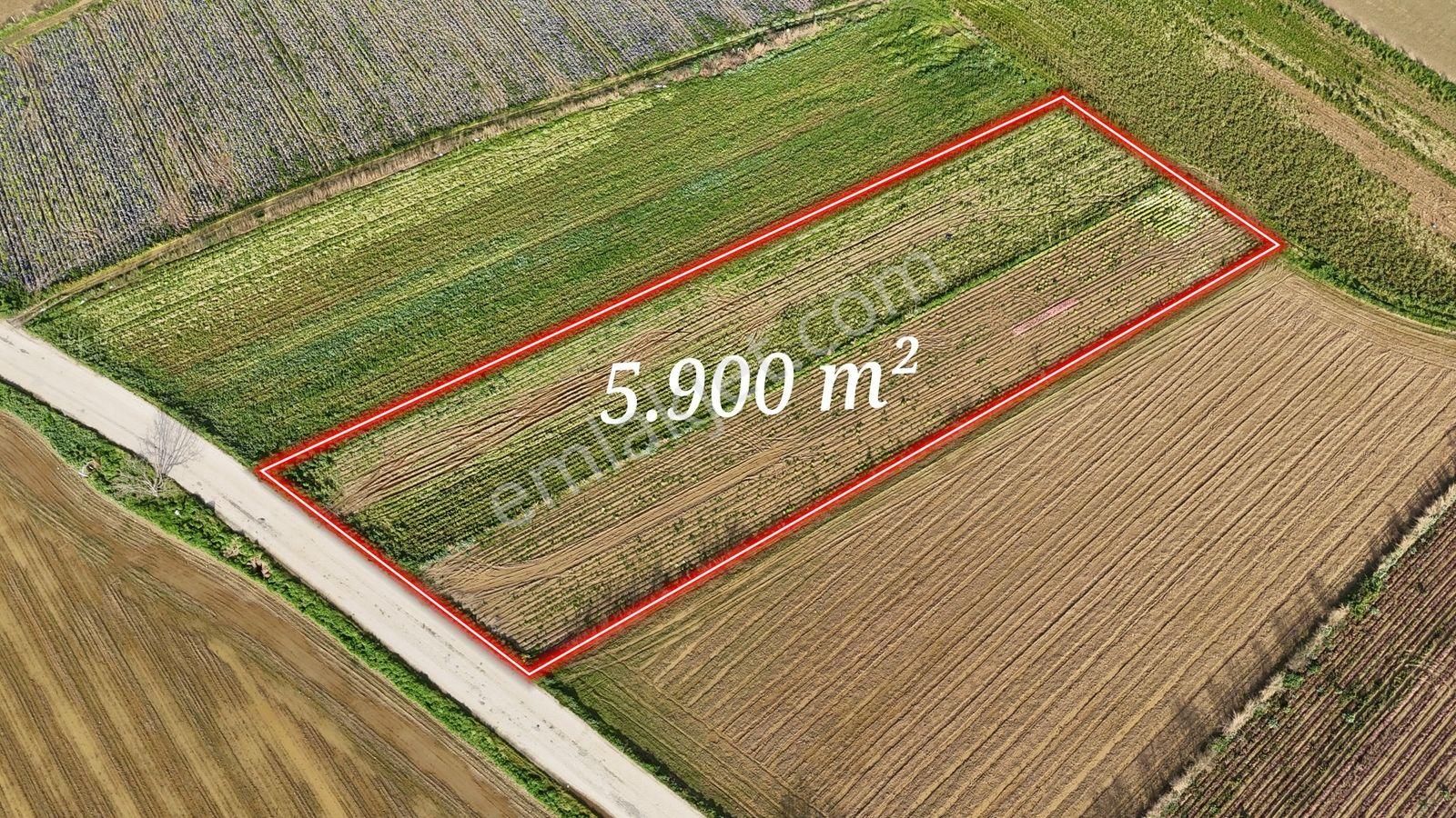 Bayındır Tokatbaşı Emsallerinin Eygun Fiyatlı Tarlası! - Görsel 10