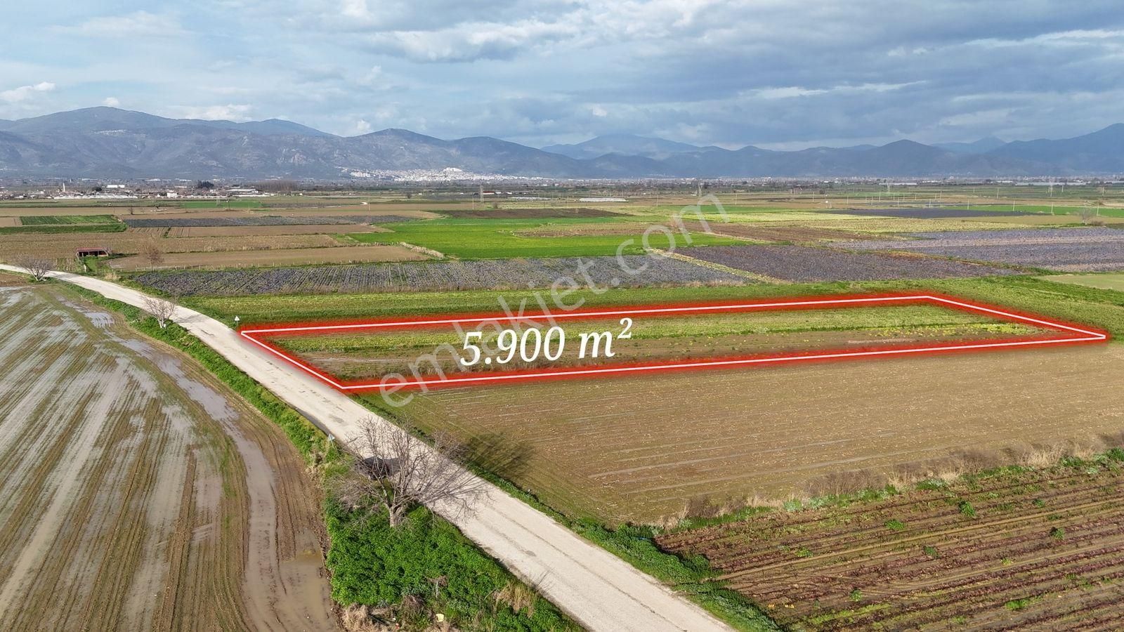 Bayındır Tokatbaşı Emsallerinin Eygun Fiyatlı Tarlası!