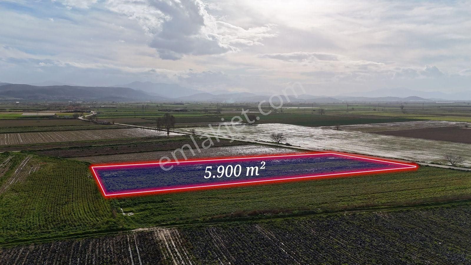 Bayındır Tokatbaşı Emsallerinin Eygun Fiyatlı Tarlası! - Görsel 2