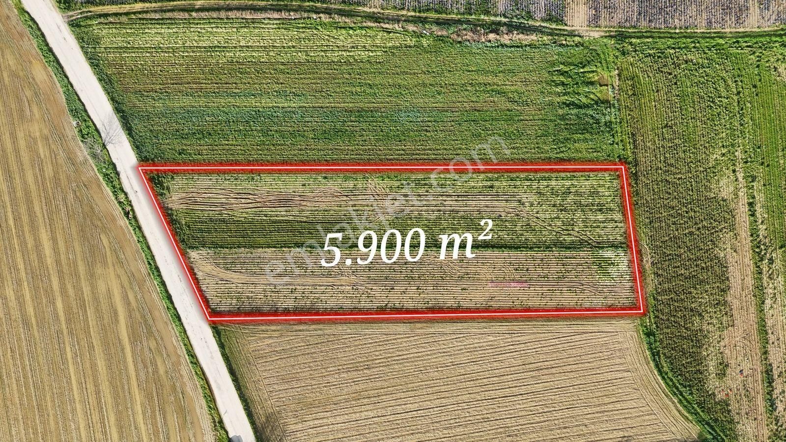 Bayındır Tokatbaşı Emsallerinin Eygun Fiyatlı Tarlası! - Görsel 21