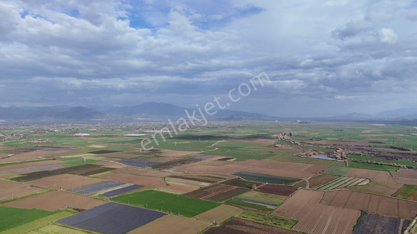 Bayındır Tokatbaşı Emsallerinin Eygun Fiyatlı Tarlası! - Görsel 9