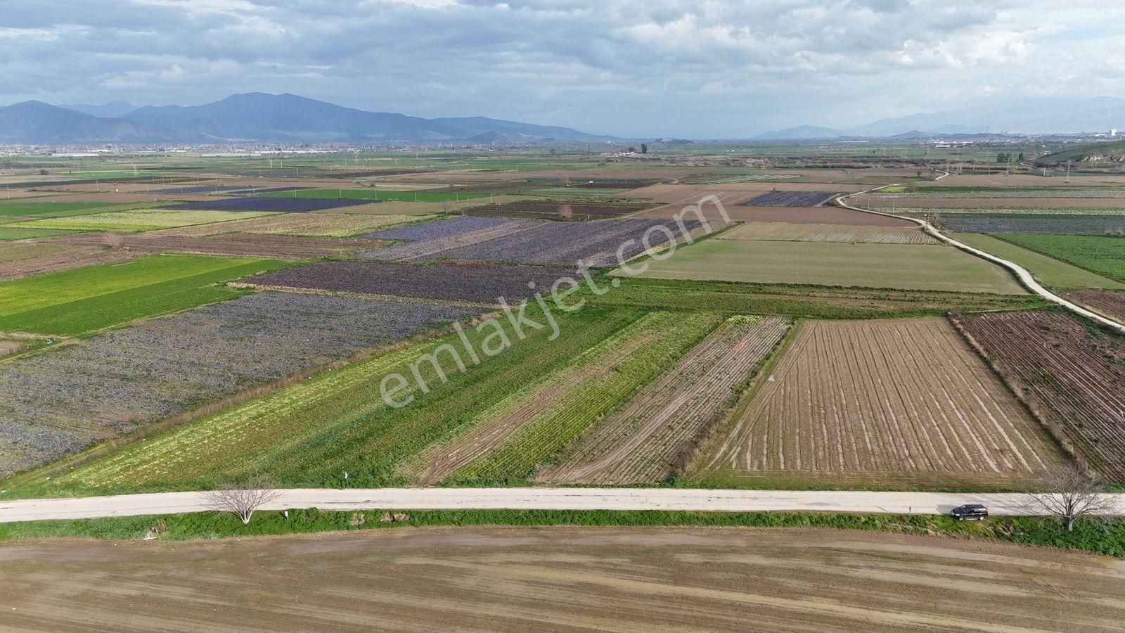 Bayındır Tokatbaşı Emsallerinin Eygun Fiyatlı Tarlası! - Görsel 16