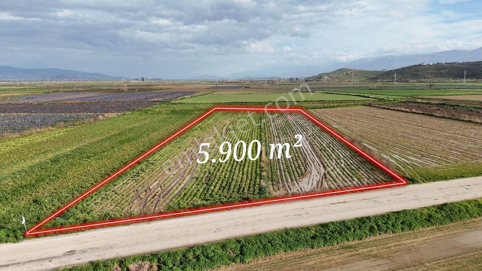 Bayındır Tokatbaşı Emsallerinin Eygun Fiyatlı Tarlası! - Görsel 7