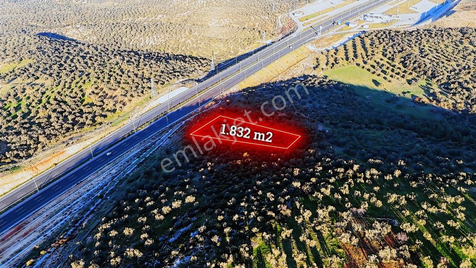 İzmir Bergama Zeytindağda Deniz Manzaralı 1.832 M² Zeytinlik - Görsel 14