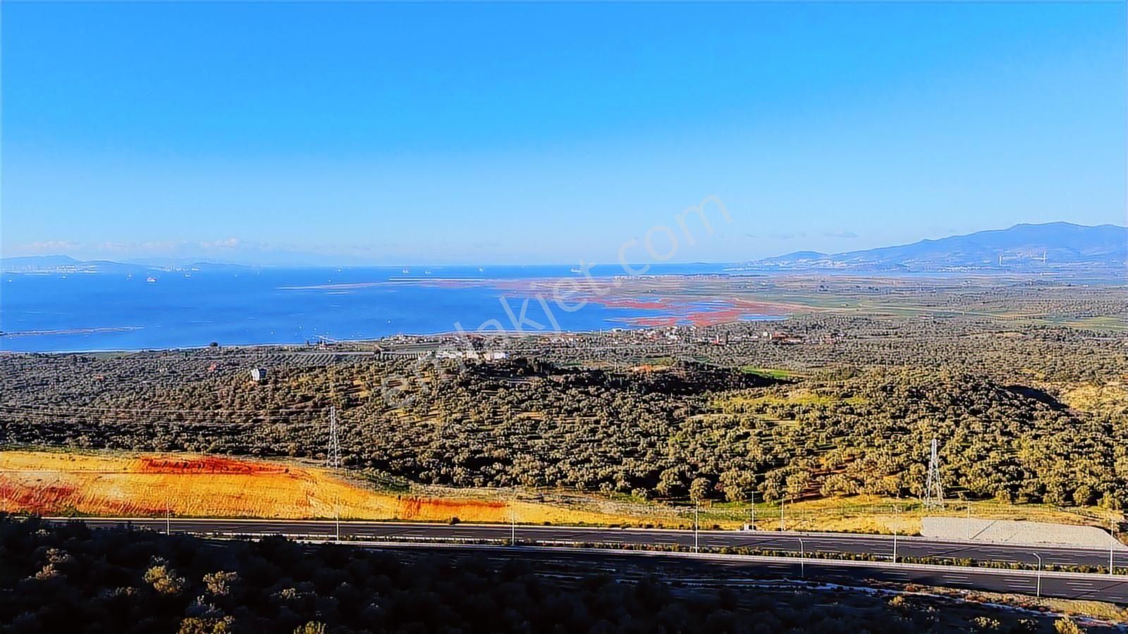 İzmir Bergama Zeytindağda Deniz Manzaralı 1.832 M² Zeytinlik - Görsel 7