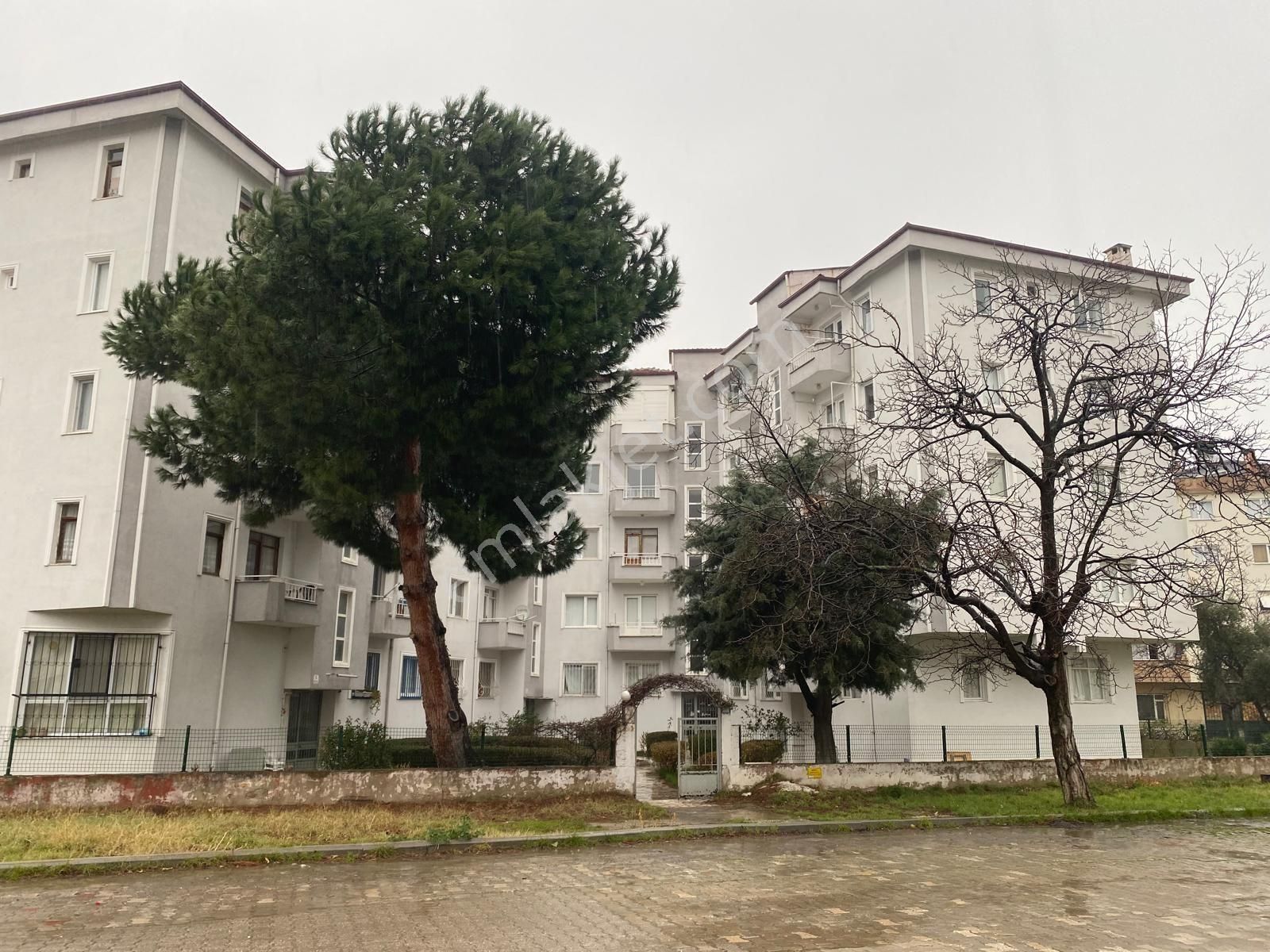 Acil Yalova Cinarcik Karpuz Dere Sarı Dolmuşlara Çok Yakın Mevkii Satılık Daire Önü Acik Ferah