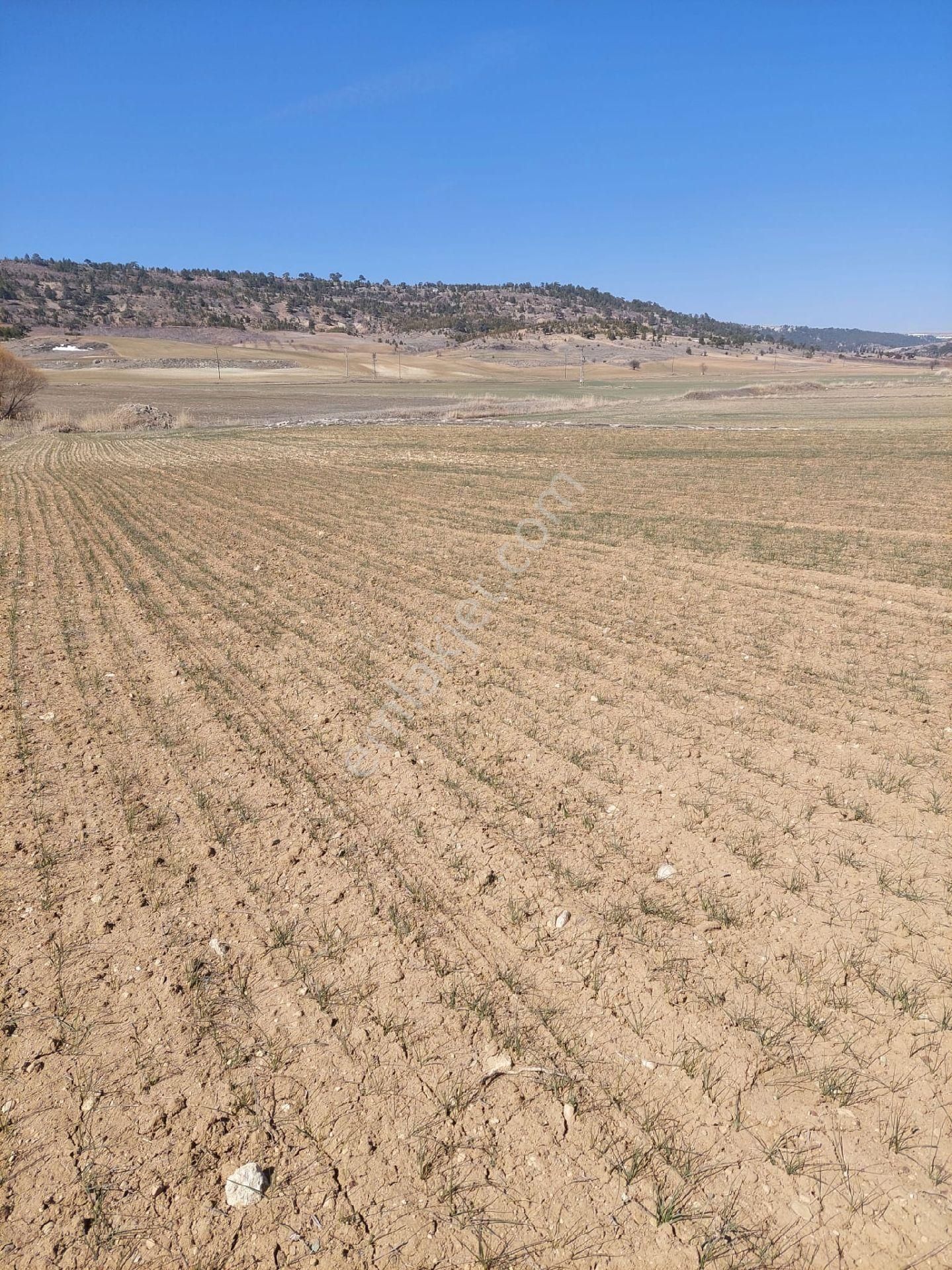 Mut Güme Mahallesinde Kaçmaz Fırsat Tapum Olsun Diyene Fırsat