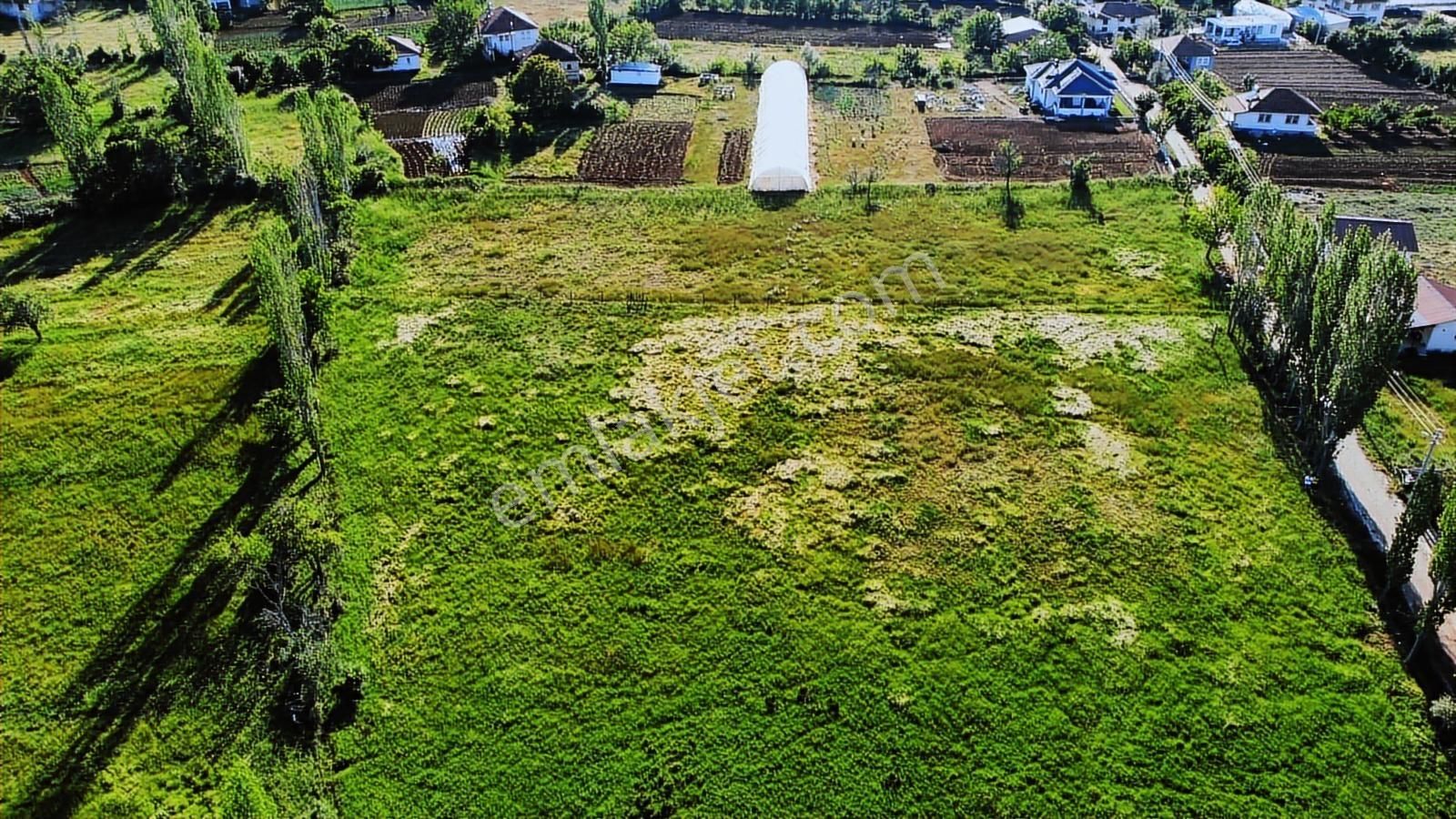 Yayla Ceylan'da 1545 M2 Köy Yerleşik Alanında Anayola Cephe - Görsel 3