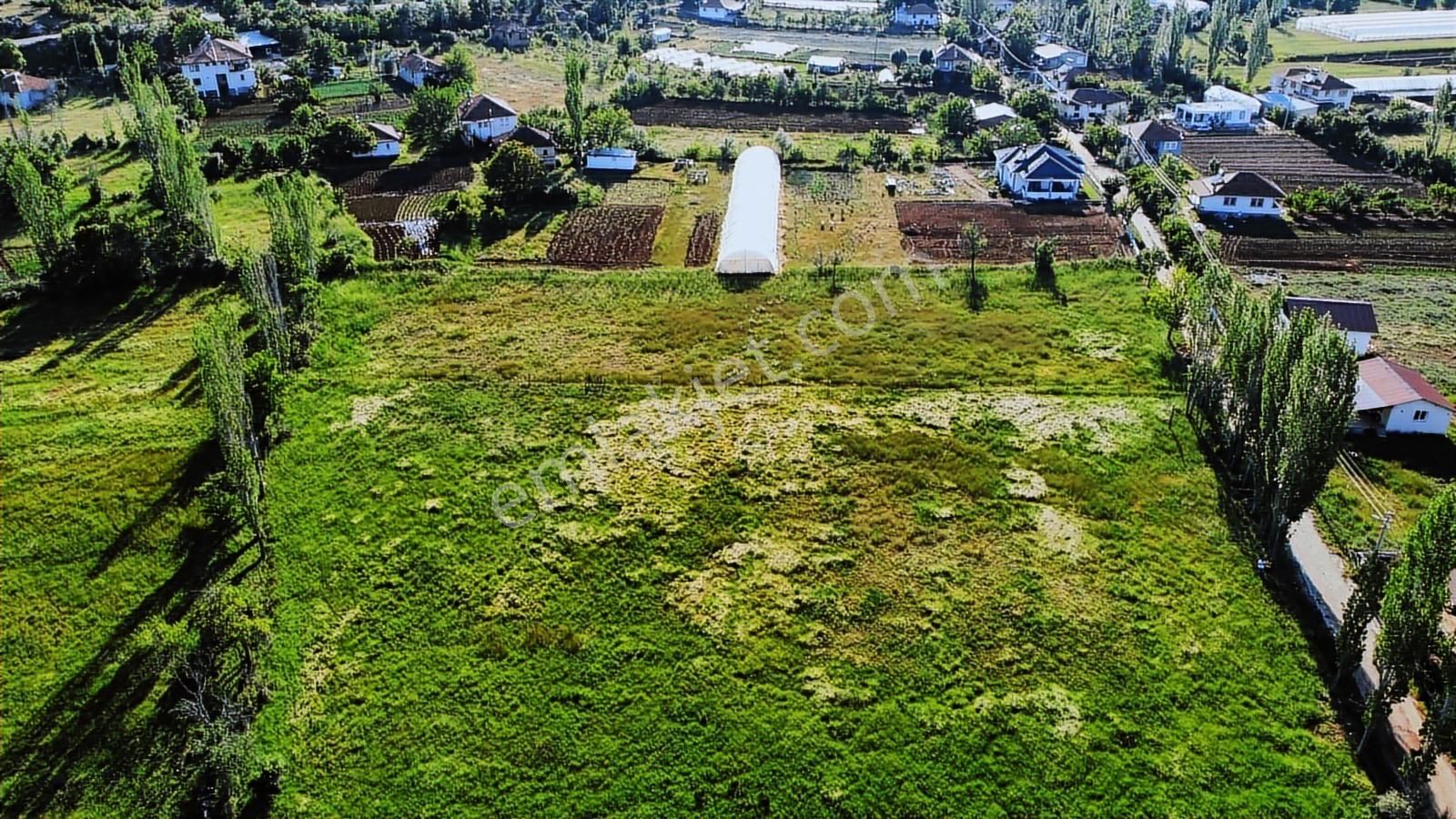 Yayla Ceylan'da 1545 M2 Köy Yerleşik Alanında Anayola Cephe - Görsel 4