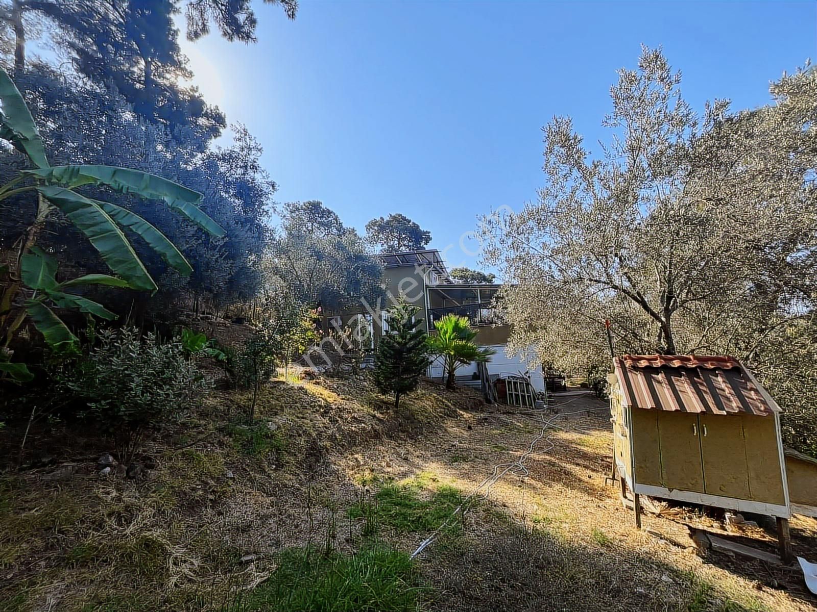 Dalaman Şerefler Köyü Doğa İçinde 2731 M2 Arazi Ve Müstakil Ev - Görsel 13