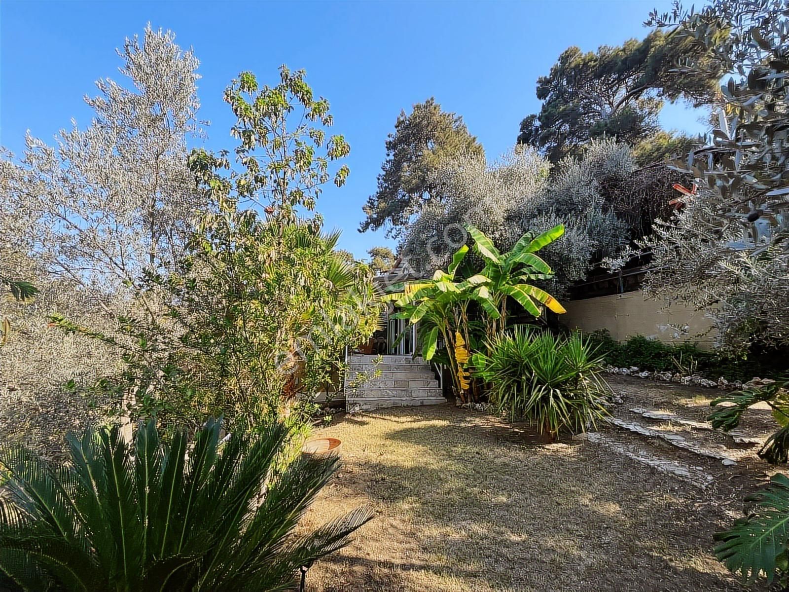 Dalaman Şerefler Köyü Doğa İçinde 2731 M2 Arazi Ve Müstakil Ev - Görsel 5