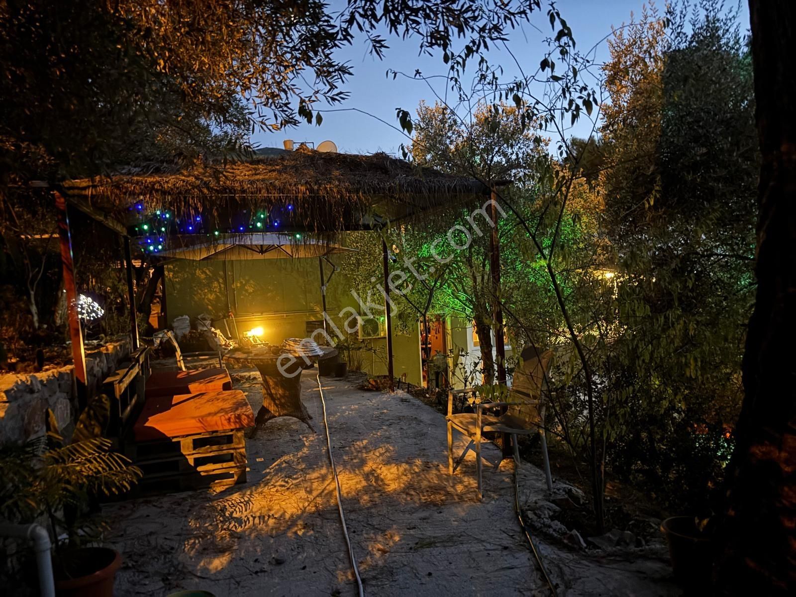 Dalaman Şerefler Köyü Doğa İçinde 2731 M2 Arazi Ve Müstakil Ev - Görsel 6