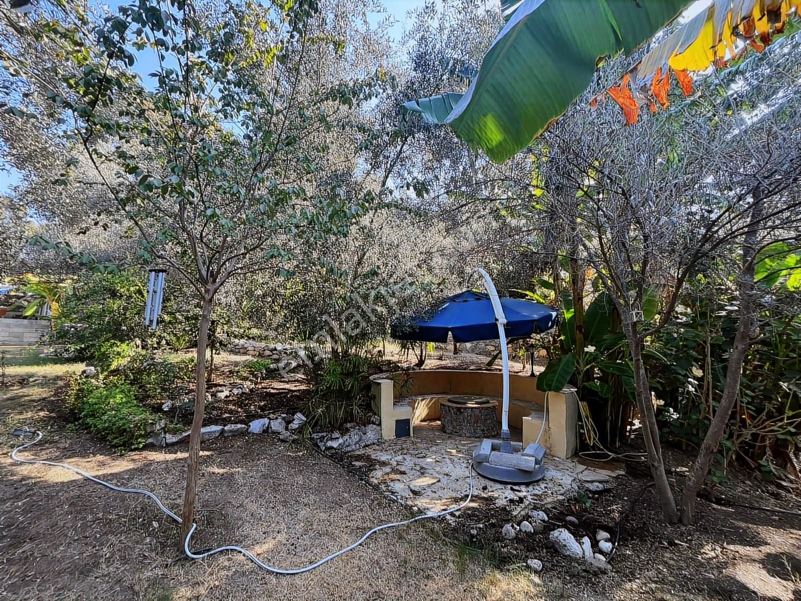 Dalaman Şerefler Köyü Doğa İçinde 2731 M2 Arazi Ve Müstakil Ev - Görsel 10