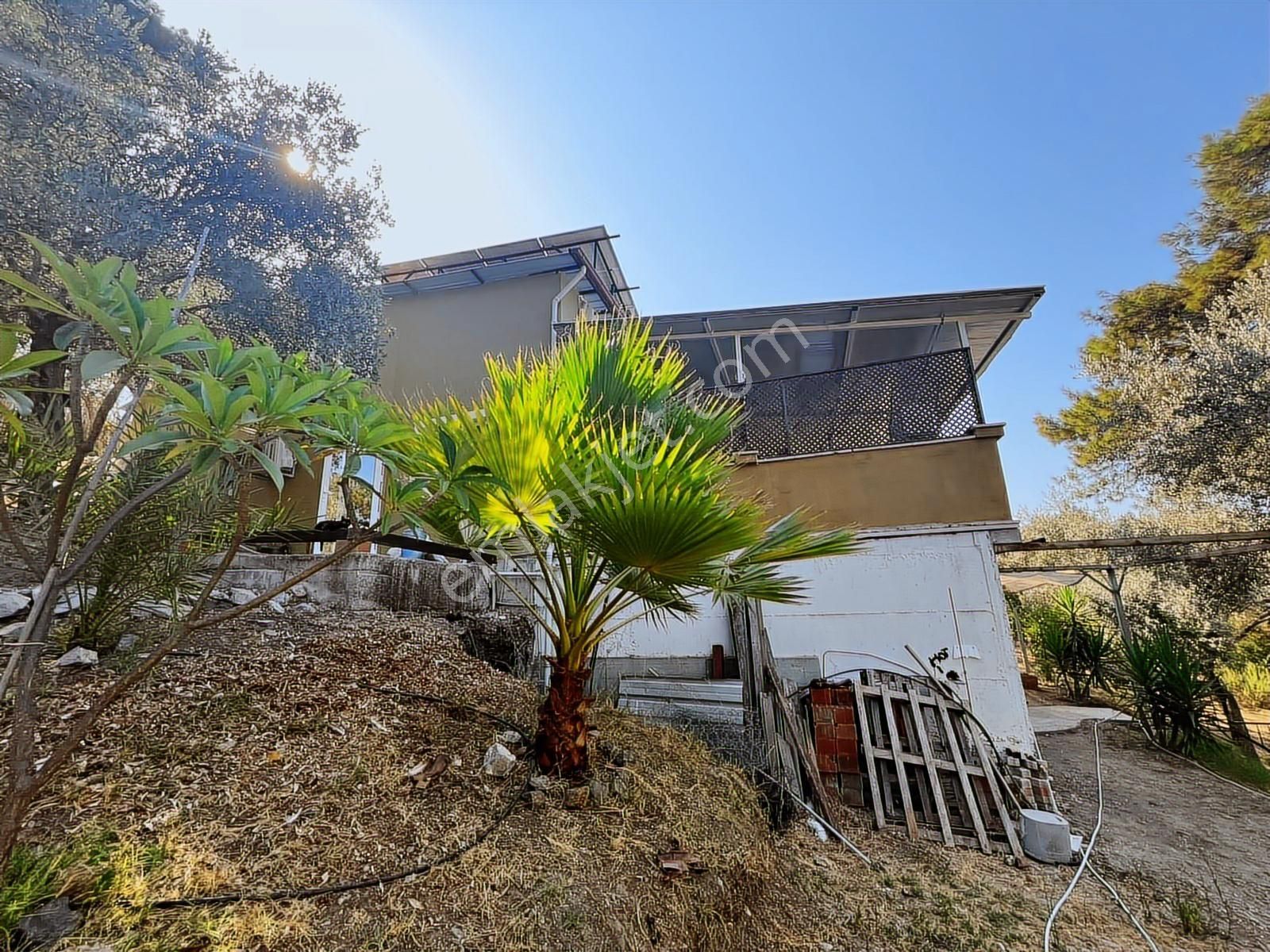 Dalaman Şerefler Köyü Doğa İçinde 2731 M2 Arazi Ve Müstakil Ev - Görsel 3