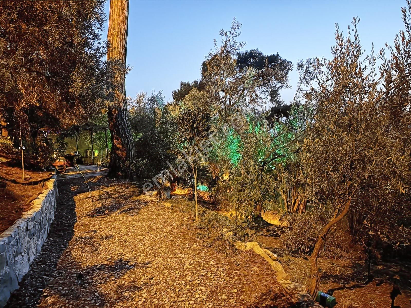 Dalaman Şerefler Köyü Doğa İçinde 2731 M2 Arazi Ve Müstakil Ev - Görsel 32