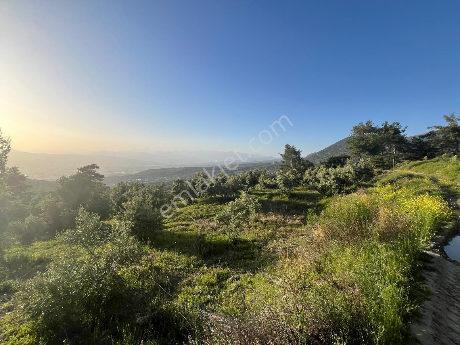 Muğla Seydikemer Arsaköy'de 1909 M2 Elma Bahçesi Tarla - Görsel 10