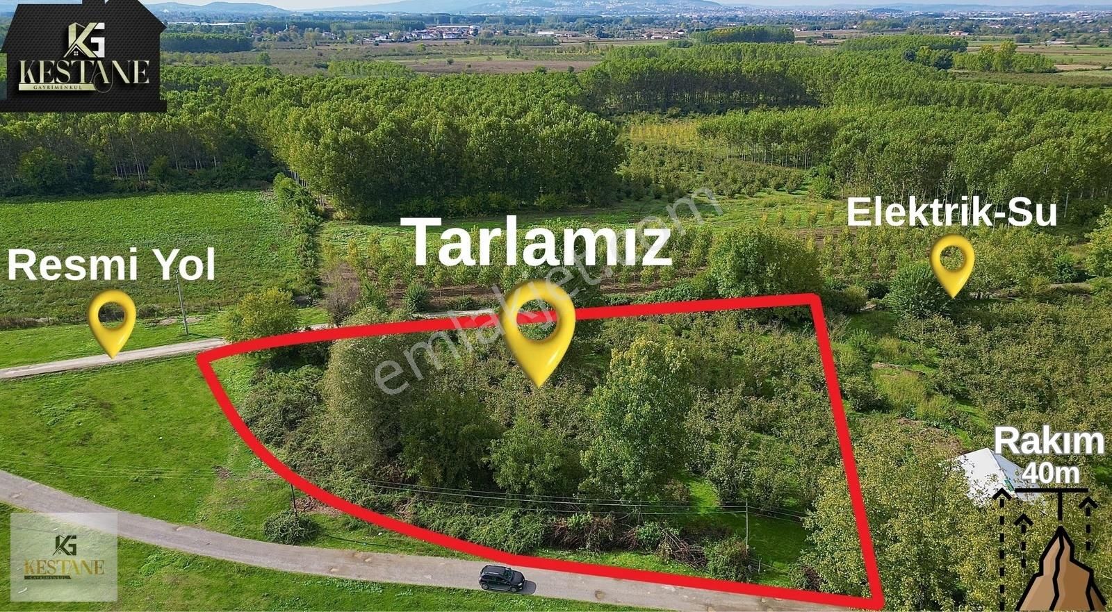 Resmi Yola 93 Metre Cepheli Elektrik Ve Suyu Mevcut Fırsat Tarla - Görsel 3