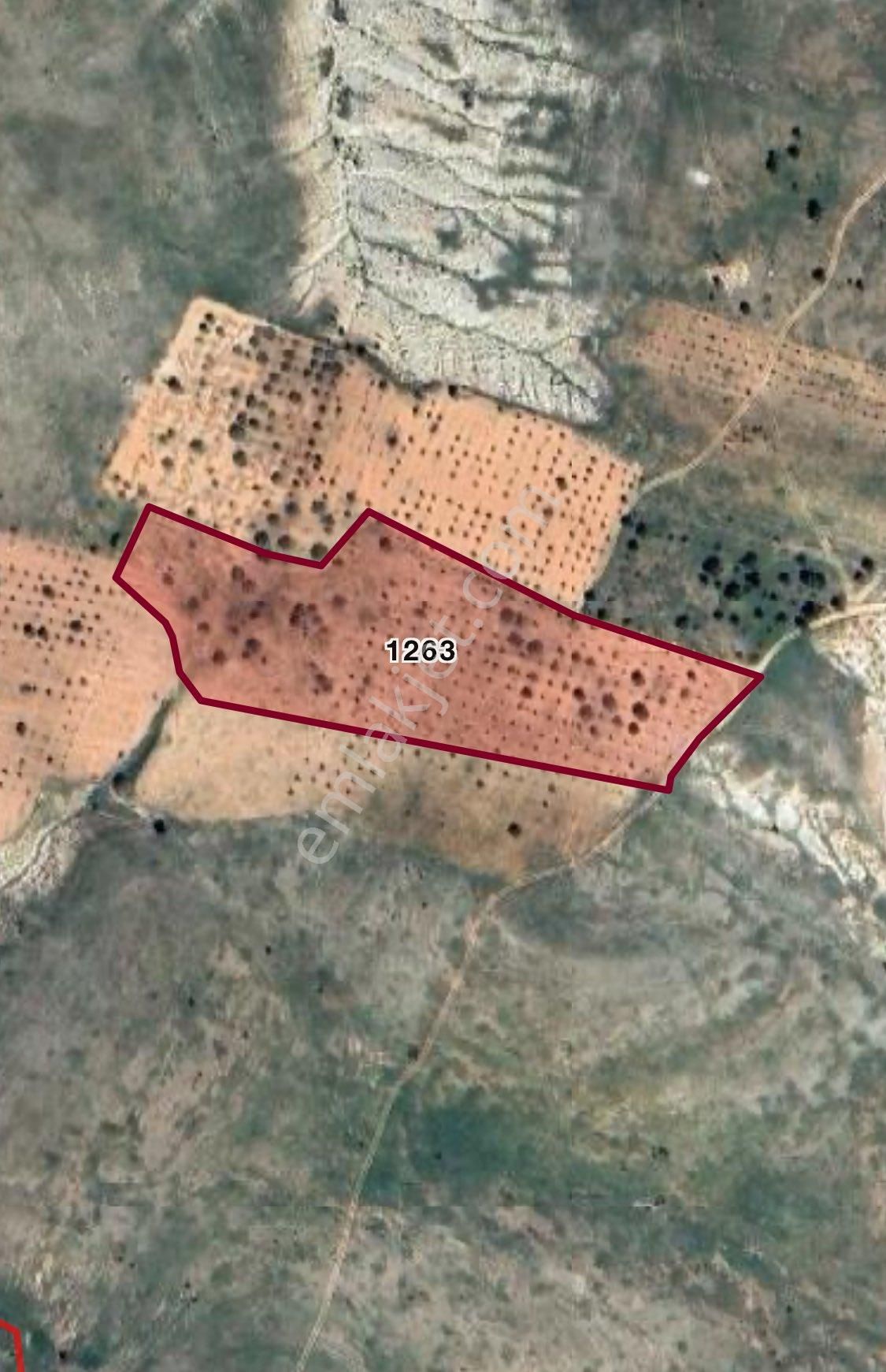 ✅ Yatırımlık Fırsat! Şehitkamil Sinan’da Tek Tapu, Fıstık Ağaçlı 20.000 M² Tarla - Görsel 2