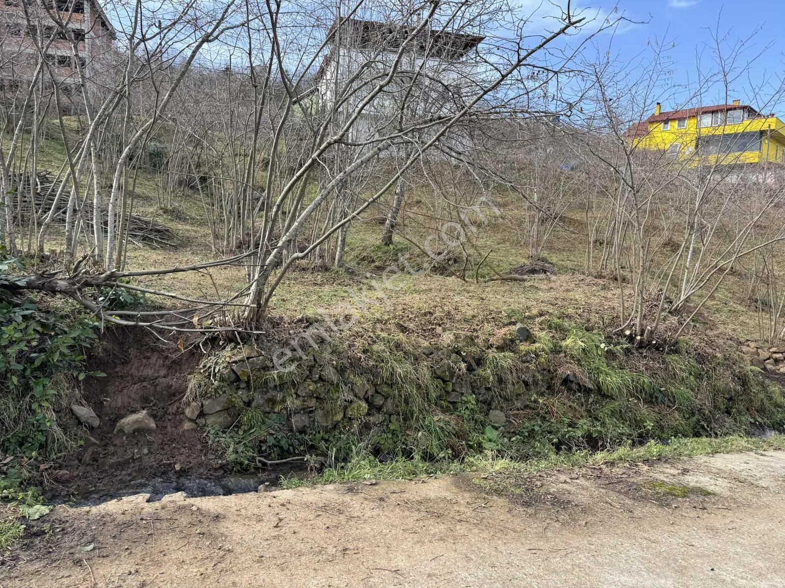 Özgür Emlaktan Yola Cephe Düz Arazi - Görsel 19