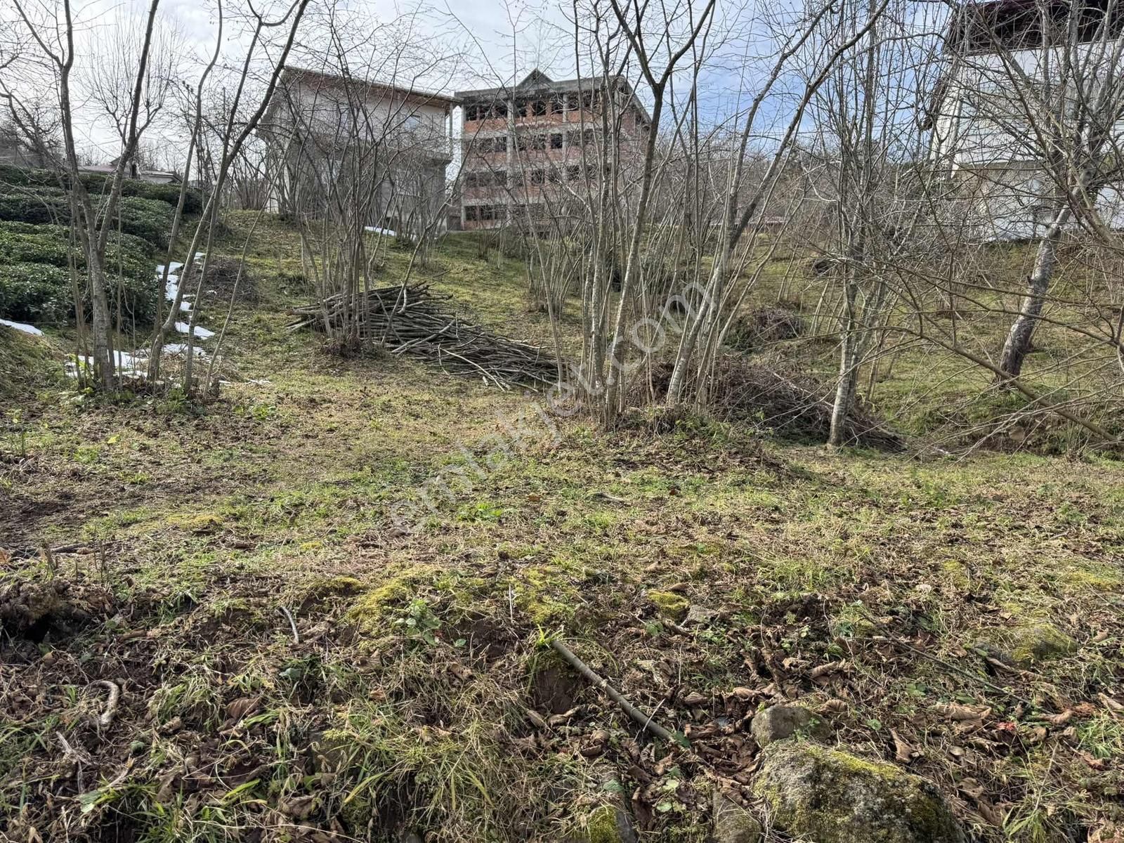 Özgür Emlaktan Yola Cephe Düz Arazi - Görsel 8