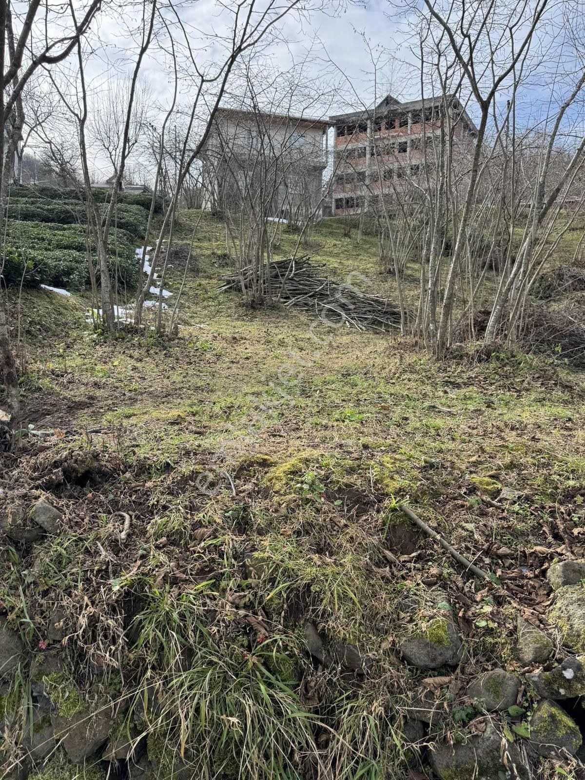 Özgür Emlaktan Yola Cephe Düz Arazi - Görsel 17