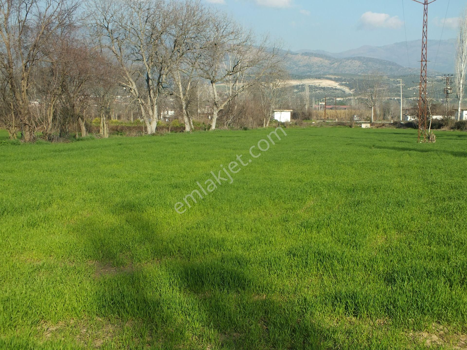 Bozdoğan Yazıkent Mahallesinde Satılık Yol Kenarındfa Satılık Tarla