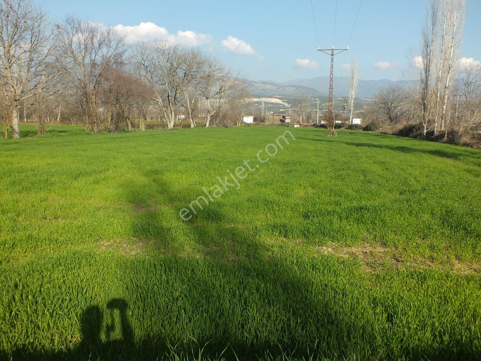 Bozdoğan Yazıkent Mahallesinde Satılık Yol Kenarındfa Satılık Tarla - Görsel 3