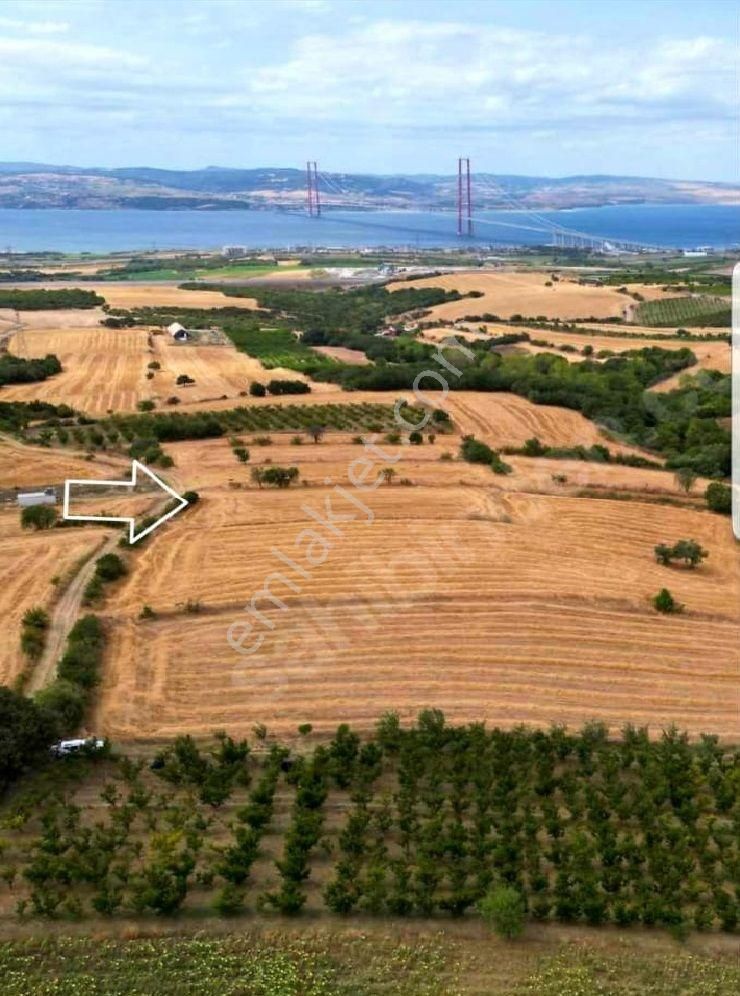 Çanakkale Lapsekide Satılık Deniz Manzaralı Süper 2.178m2 Tarla - Görsel 5