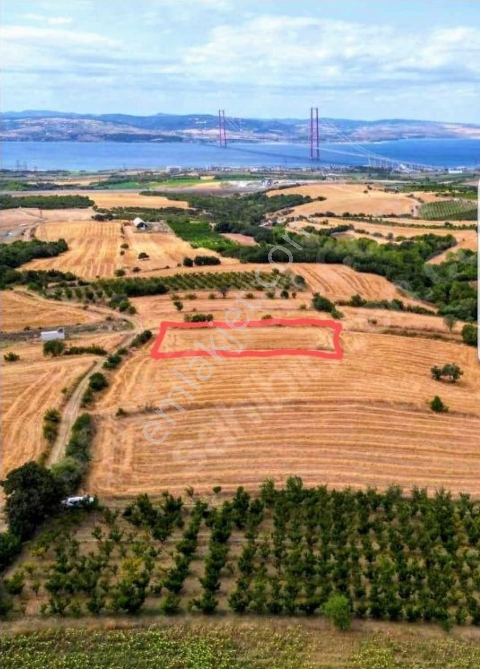 Çanakkale Lapsekide Satılık Deniz Manzaralı Süper 2.178m2 Tarla - Görsel 6