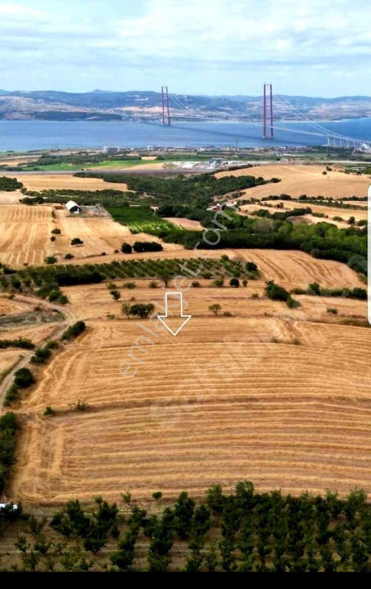 Çanakkale Lapsekide Satılık Deniz Manzaralı Süper 2.178m2 Tarla - Görsel 7