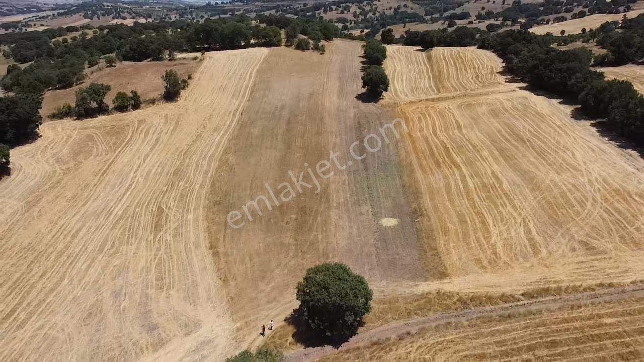 Balcity - Gökçeyazı'da İmara Sınır Resmi Yola Cepheli 4 Dönüm Arsa Vasıfında Arazi - Görsel 3