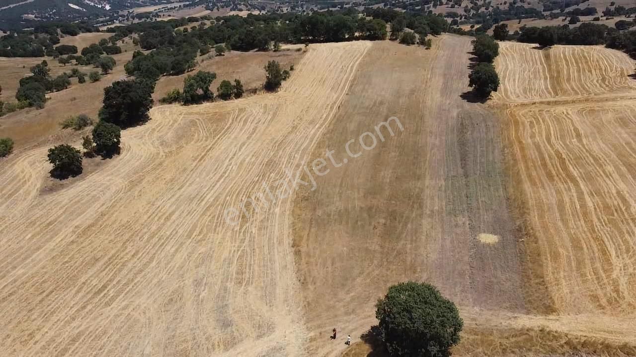 Balcity - Gökçeyazı'da İmara Sınır Resmi Yola Cepheli 4 Dönüm Arsa Vasıfında Arazi - Görsel 16