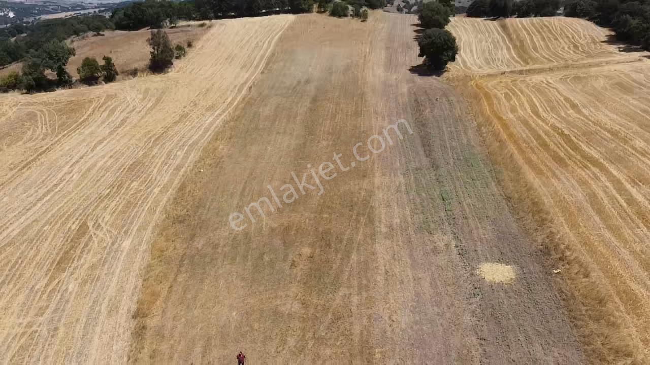 Balcity - Gökçeyazı'da İmara Sınır Resmi Yola Cepheli 4 Dönüm Arsa Vasıfında Arazi - Görsel 5
