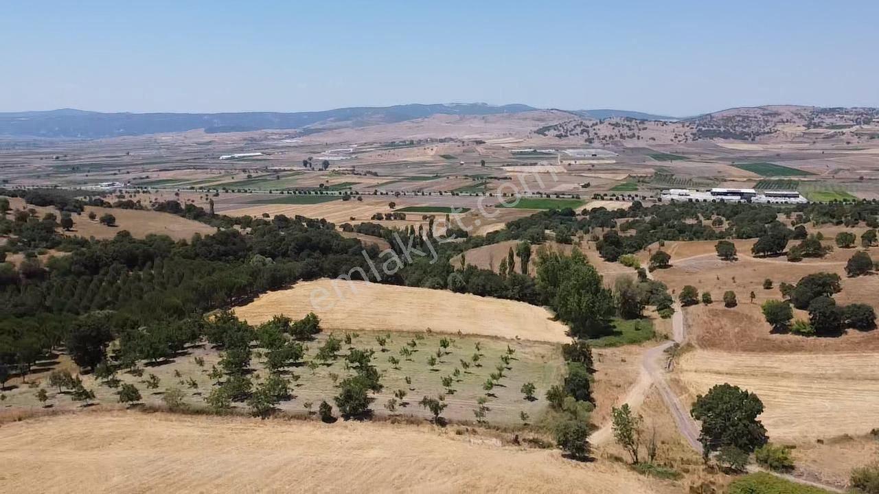 Balcity - Gökçeyazı'da İmara Sınır Resmi Yola Cepheli 4 Dönüm Arsa Vasıfında Arazi - Görsel 13