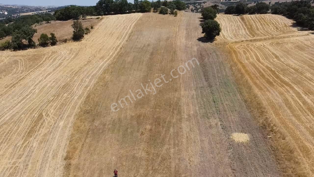 Balcity - Gökçeyazı'da İmara Sınır Resmi Yola Cepheli 4 Dönüm Arsa Vasıfında Arazi - Görsel 4