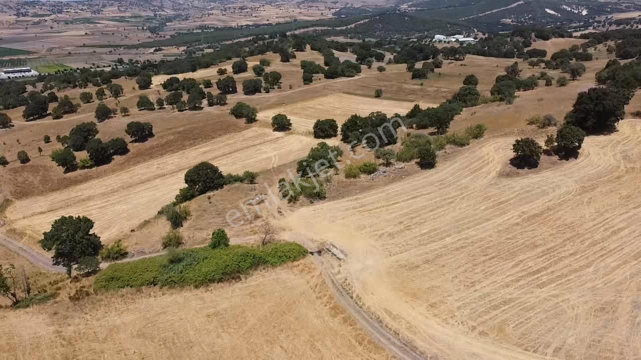 Balcity - Gökçeyazı'da İmara Sınır Resmi Yola Cepheli 4 Dönüm Arsa Vasıfında Arazi - Görsel 2