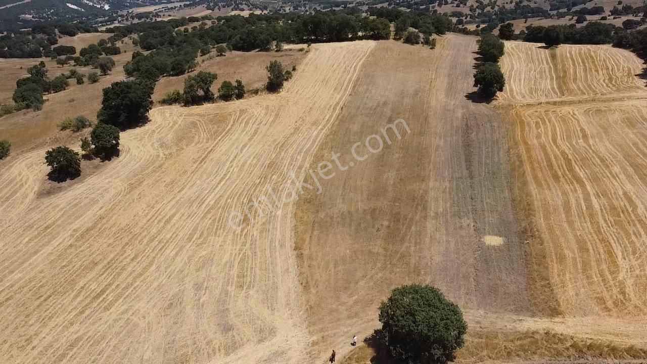Balcity - Gökçeyazı'da İmara Sınır Resmi Yola Cepheli 4 Dönüm Arsa Vasıfında Arazi - Görsel 17