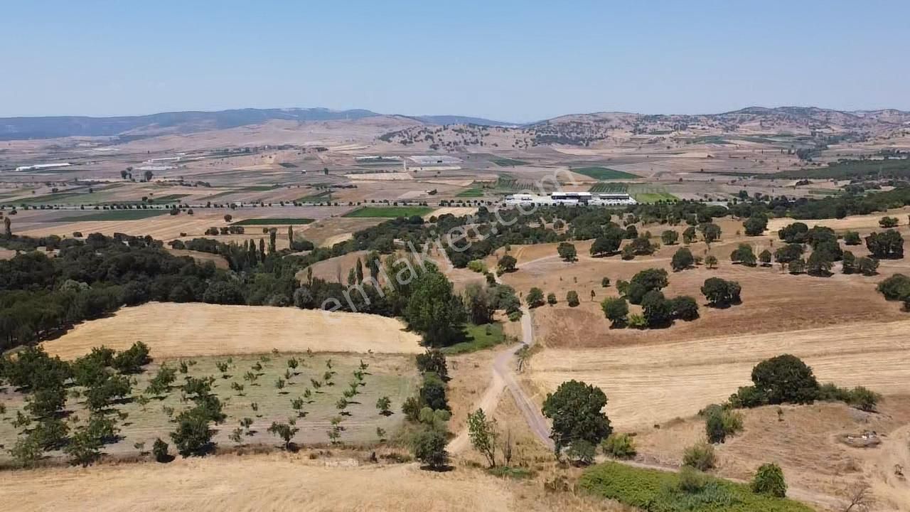 Balcity - Gökçeyazı'da İmara Sınır Resmi Yola Cepheli 4 Dönüm Arsa Vasıfında Arazi - Görsel 10